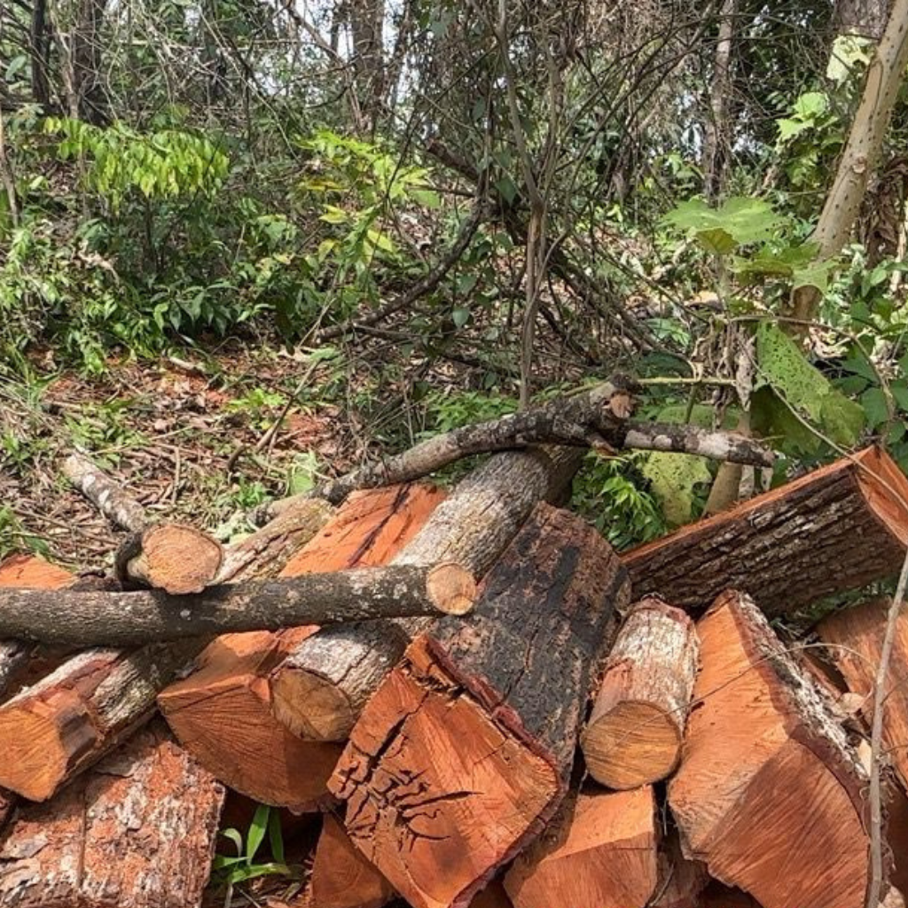 Design sem nome (10)