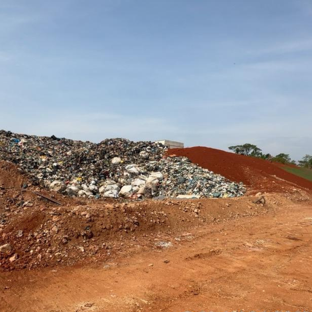 Design sem nome (12)